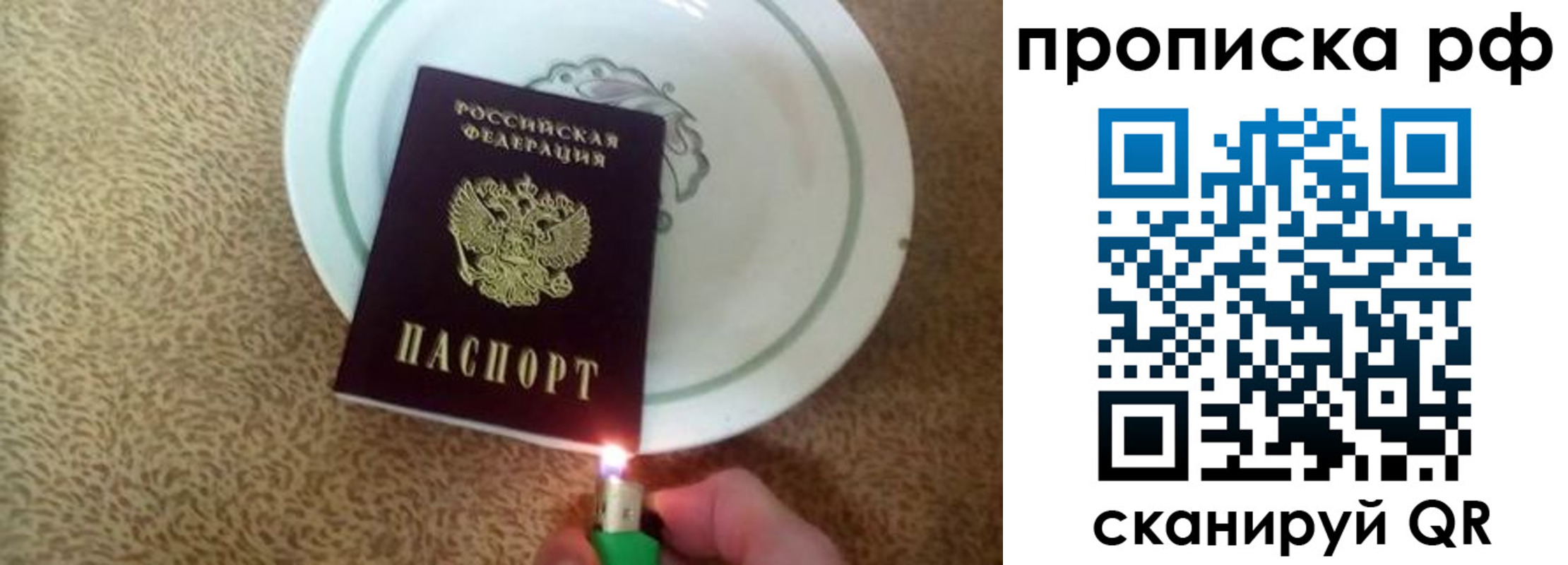 временная регистрация гарантия в Дрезне